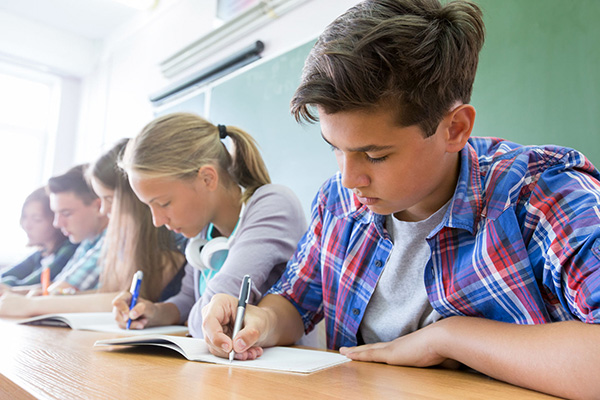 College/University Students image